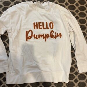 lightweight Sweatshirt, fuzzy Hello Pumpkin, Shiraleah brand, L